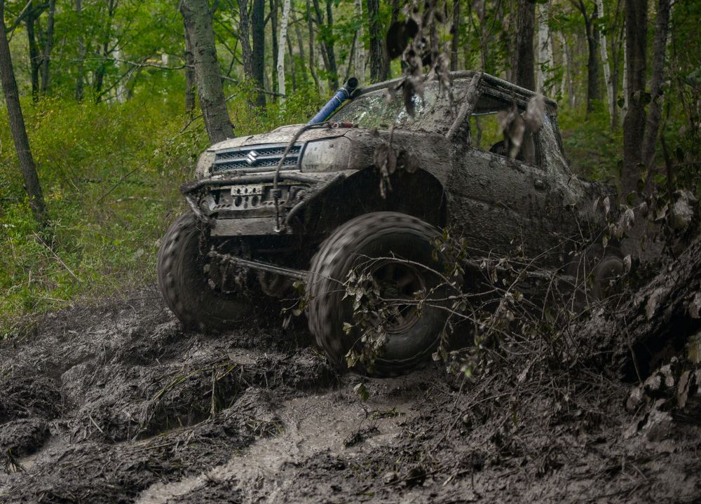 Photograph by Зинаида Дрим