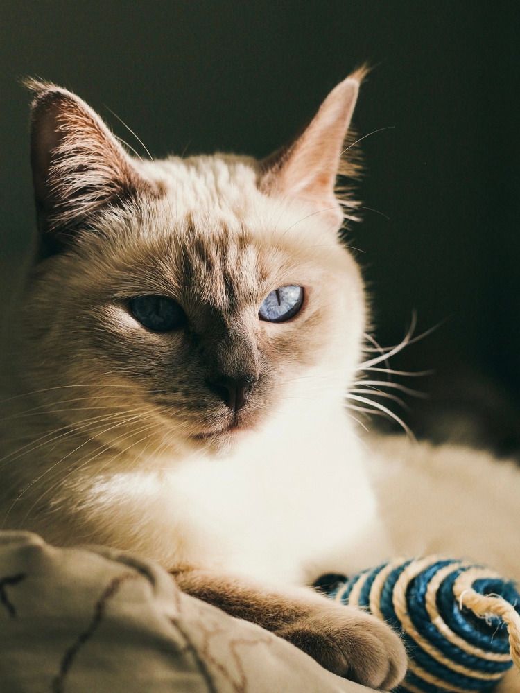 Photograph by Дарья Андреева