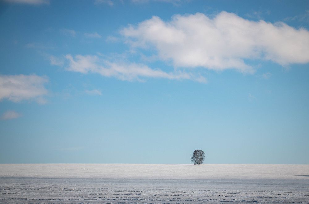 Photograph by Татьяна Ярмак