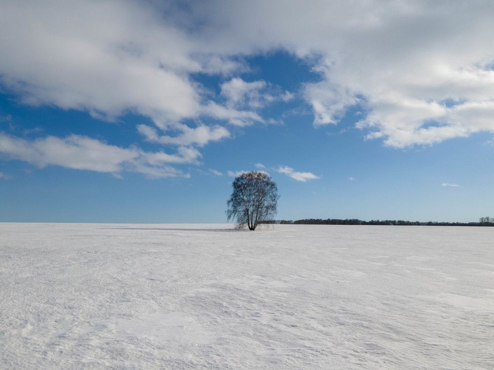 Photograph by Татьяна Ярмак