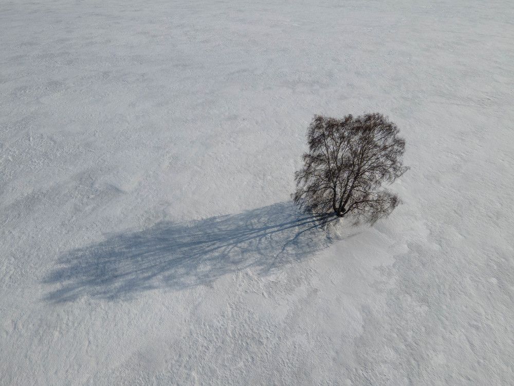 Photograph by Татьяна Ярмак