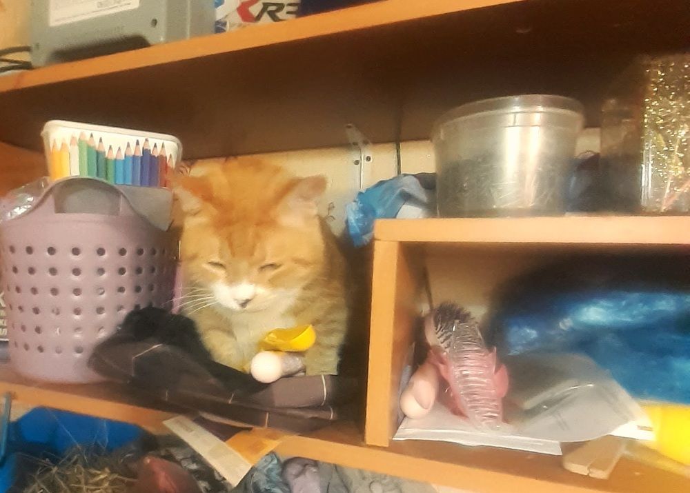 Фотография автора Сергей Яковлев