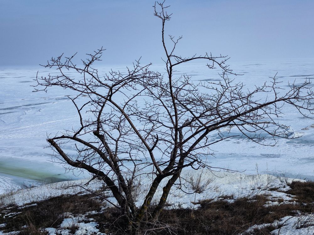 Photograph by Ирина Шибитова