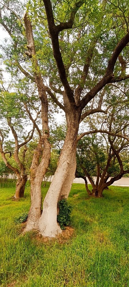 Photograph by Дмитрий Хайбулин