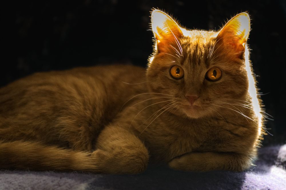 Photograph by Олег Бережных