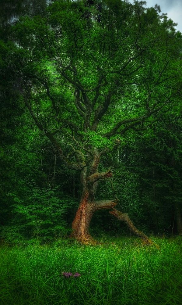 Photograph by Юлия Алексейчикова