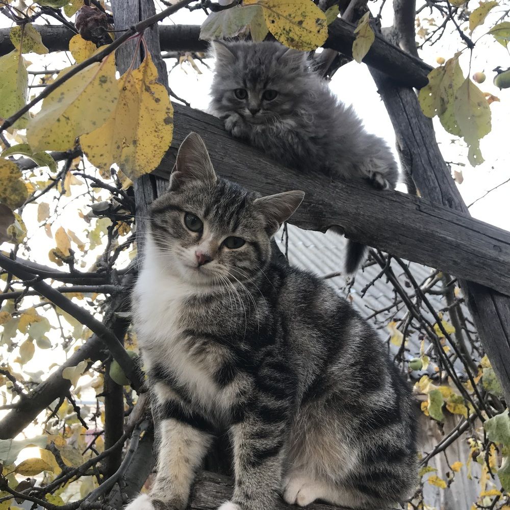 Photograph by Марина