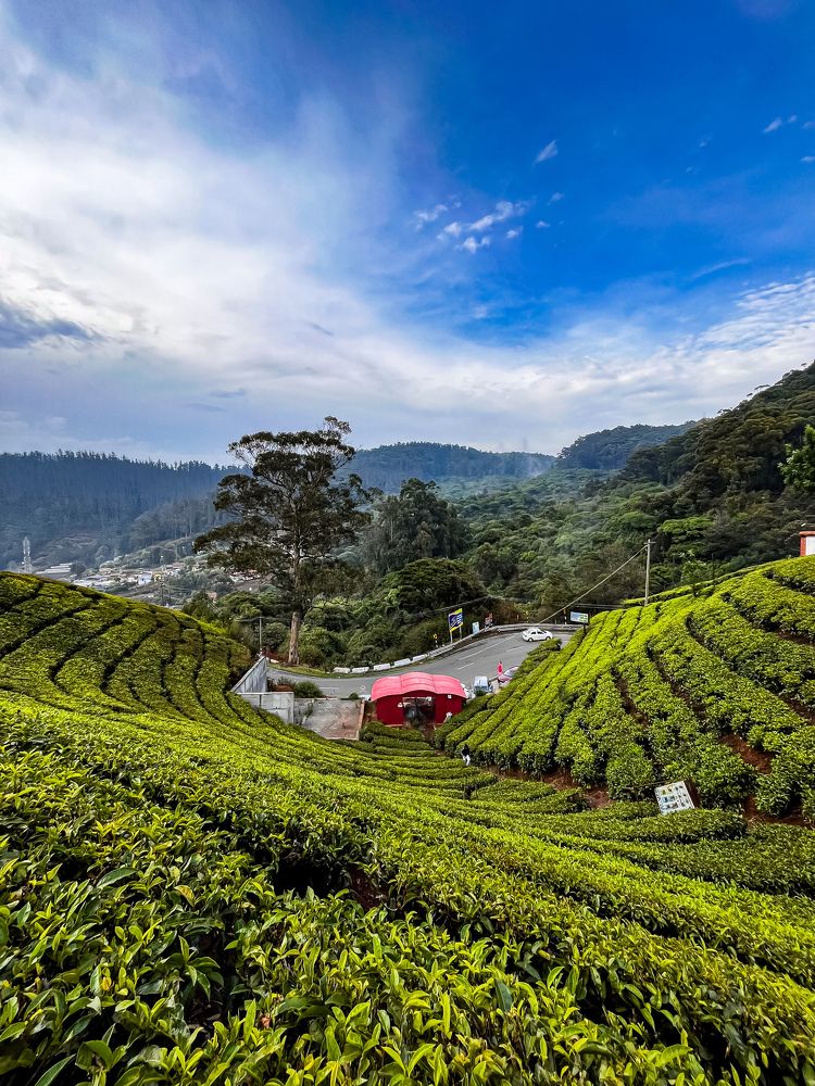 Photograph by Jaspreet Singh