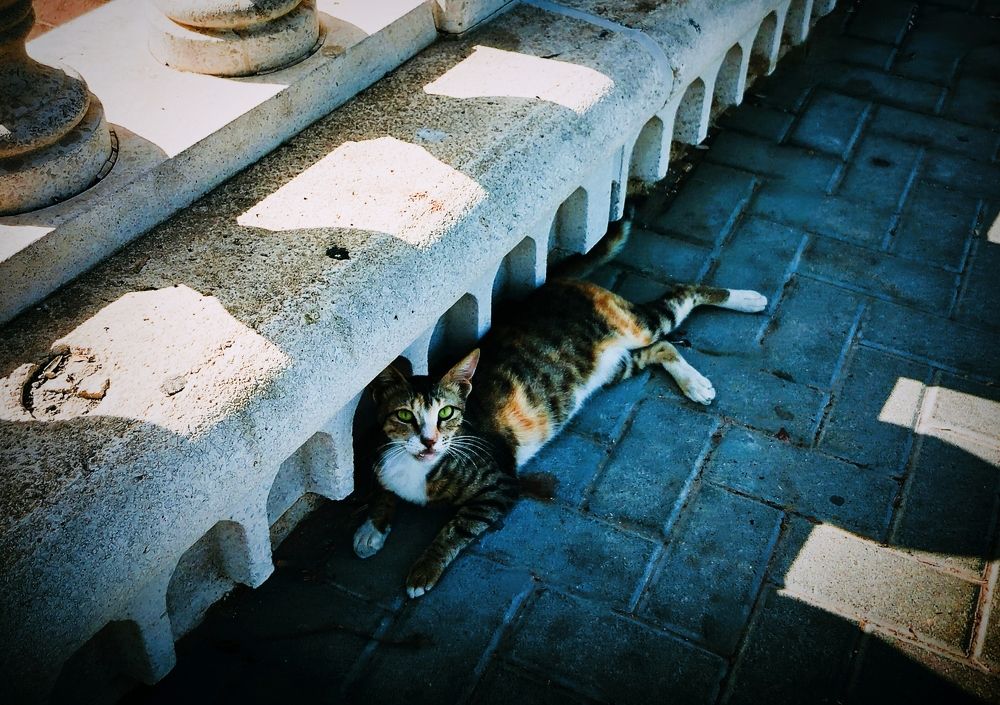 Photograph by Himesh Soni