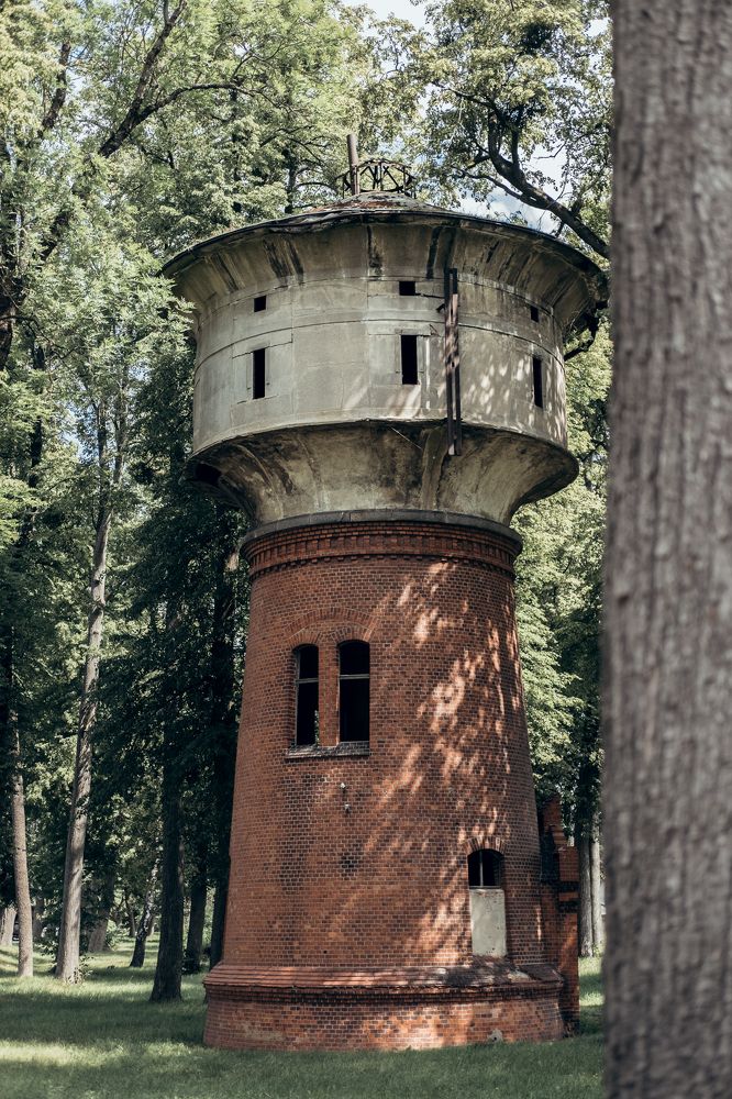 Photograph by Евгения Мавлеева