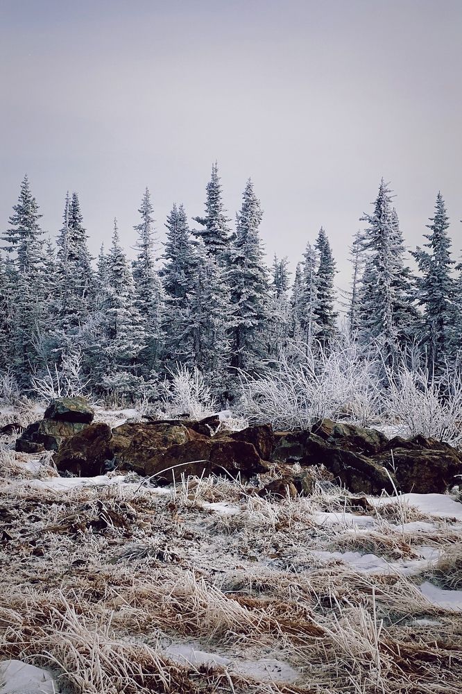 on the top of the mountain Green