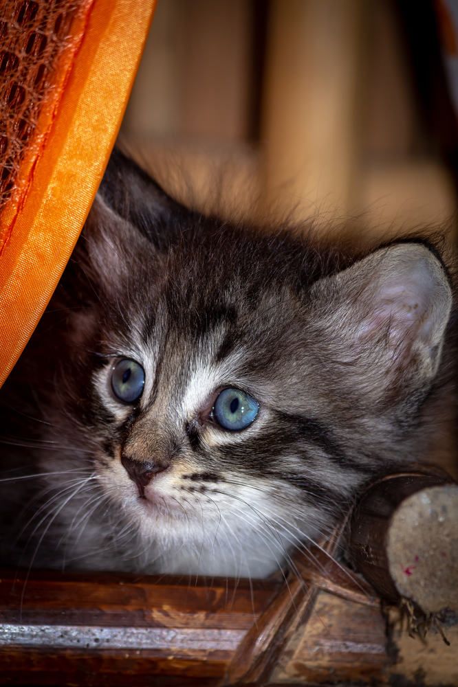 Photograph by Jaspreet Singh