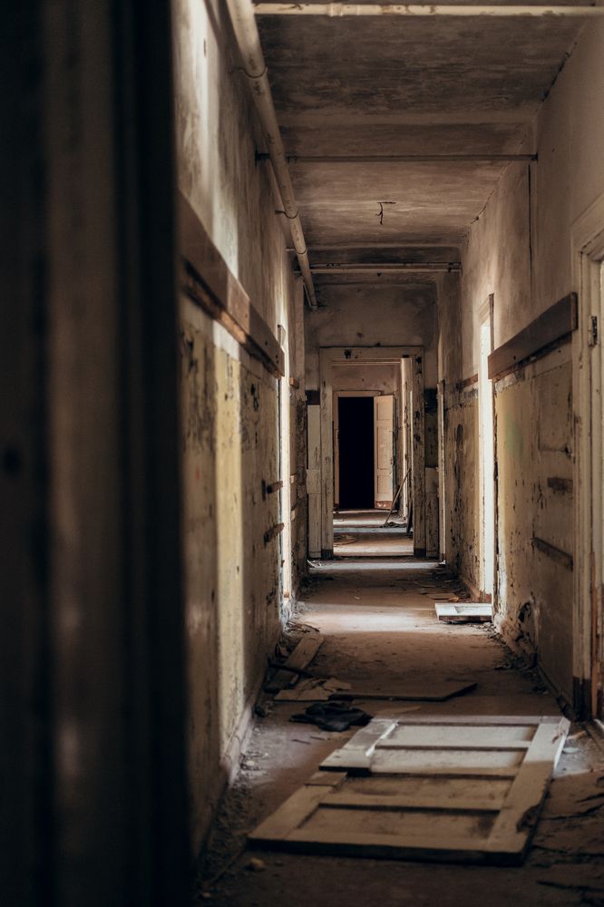 Photograph by Евгения Мавлеева