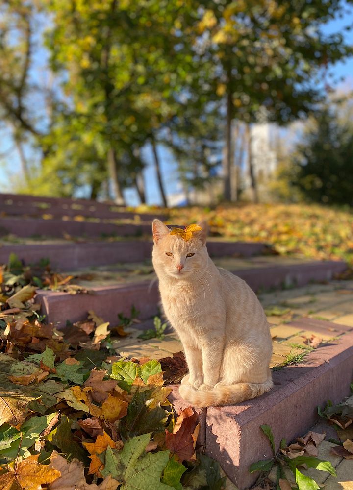 Photograph by Марина