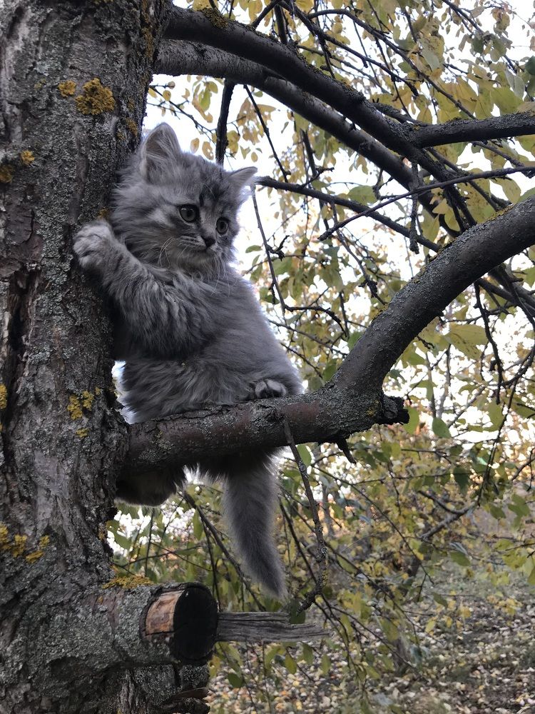 Photograph by Марина