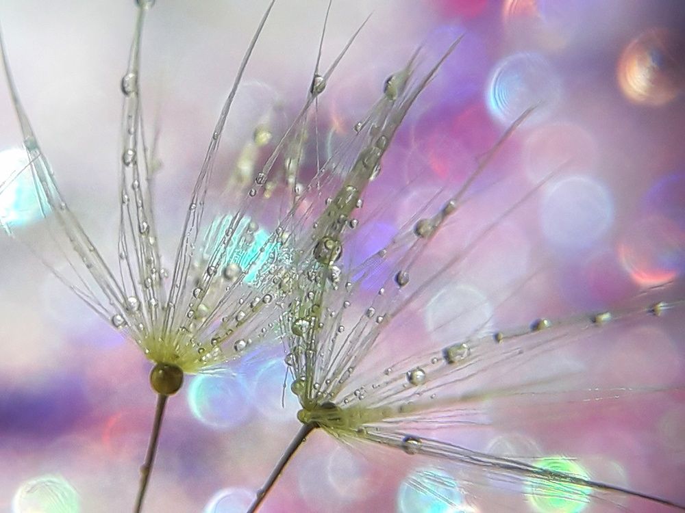 Photograph by Марина Мальцева