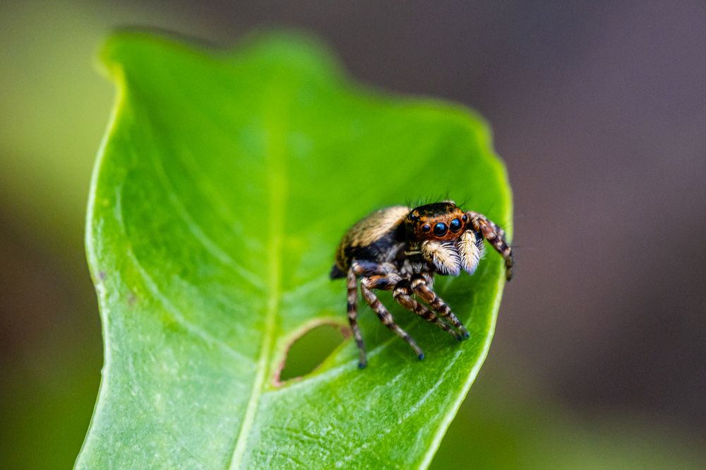 Photograph by Elvis Tam