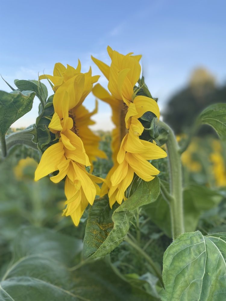 Photograph by Марина