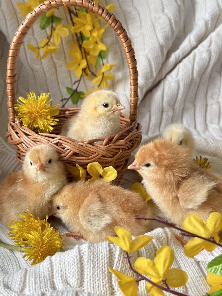 Photograph by Марина