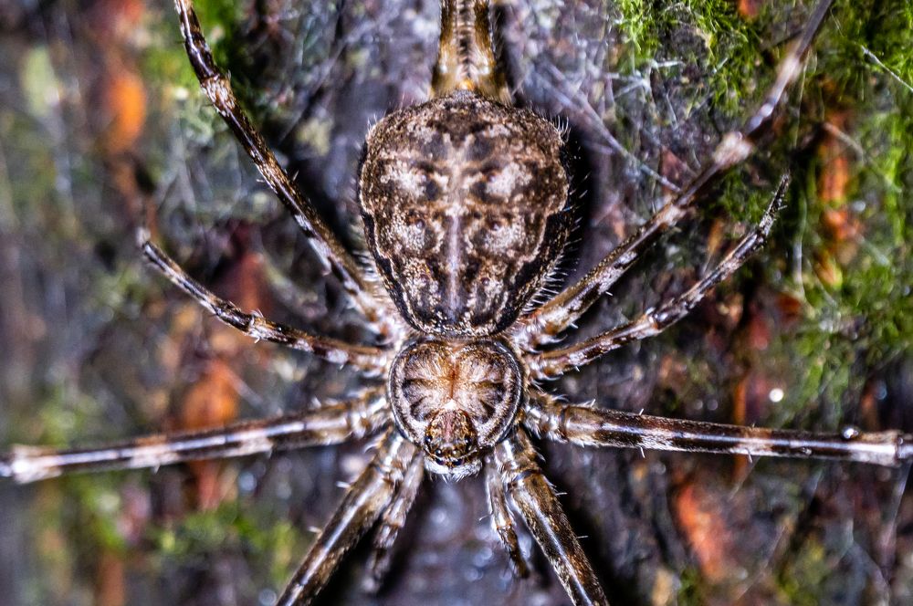 Photograph by Elvis Tam