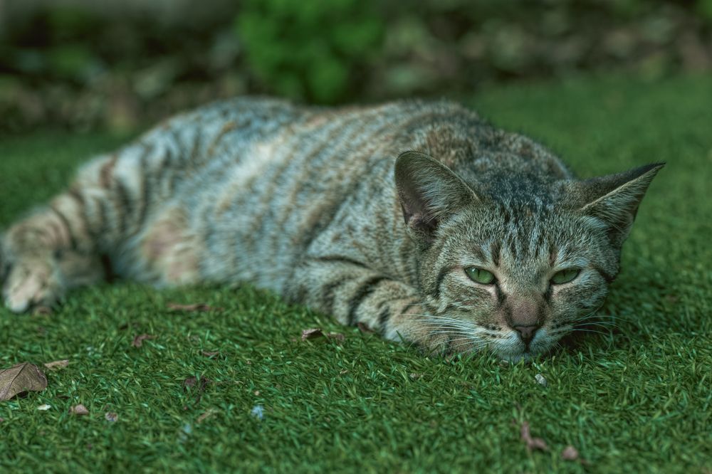 Photograph by Сергей Шпаков