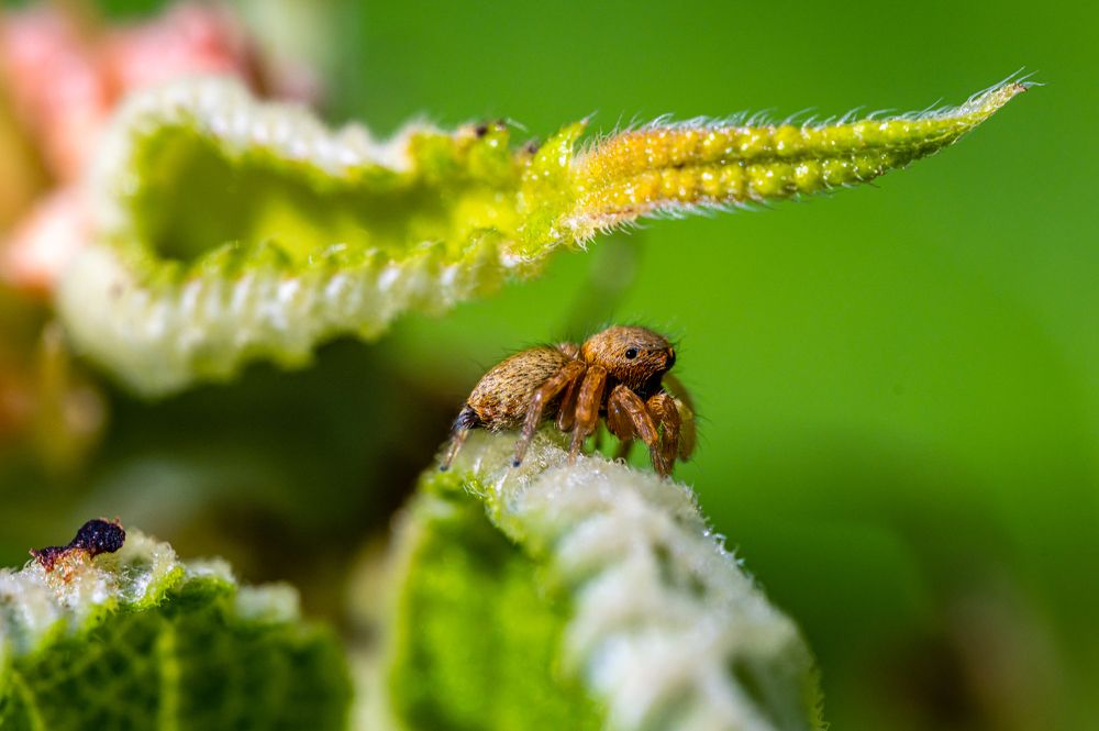 Photograph by Elvis Tam