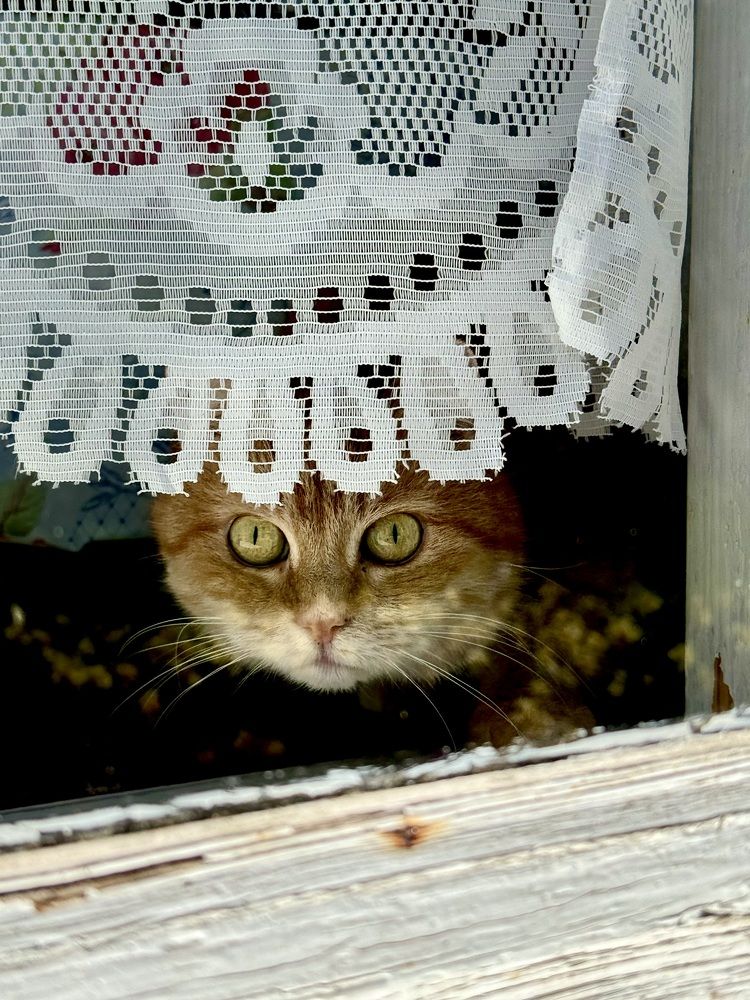 Photograph by Татьяна Зенина