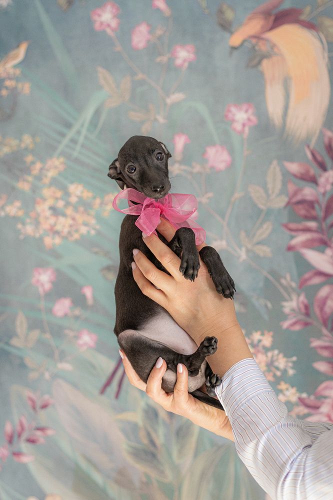 Photograph by Анастасия Лученок