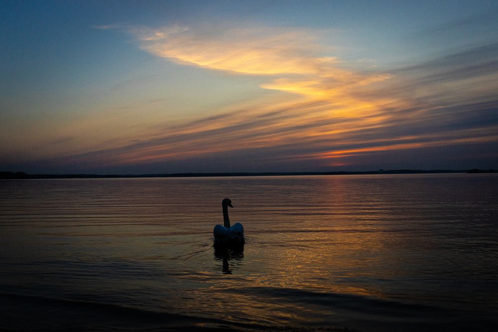 Photograph by Анастасия Лученок