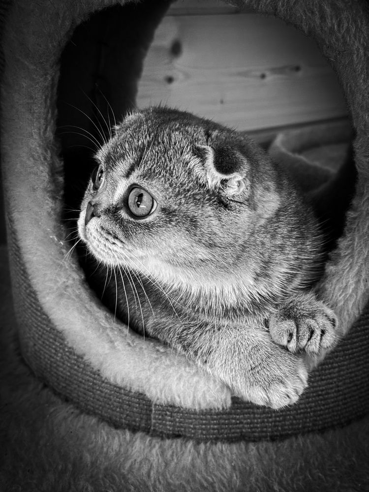 Photograph by Екатерина Слепнева