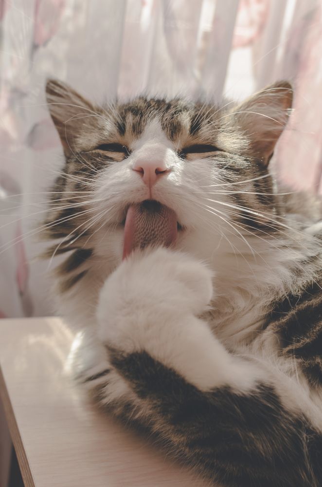 Фотография автора Людмила Куприянова