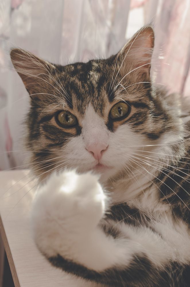 Фотография автора Людмила Куприянова