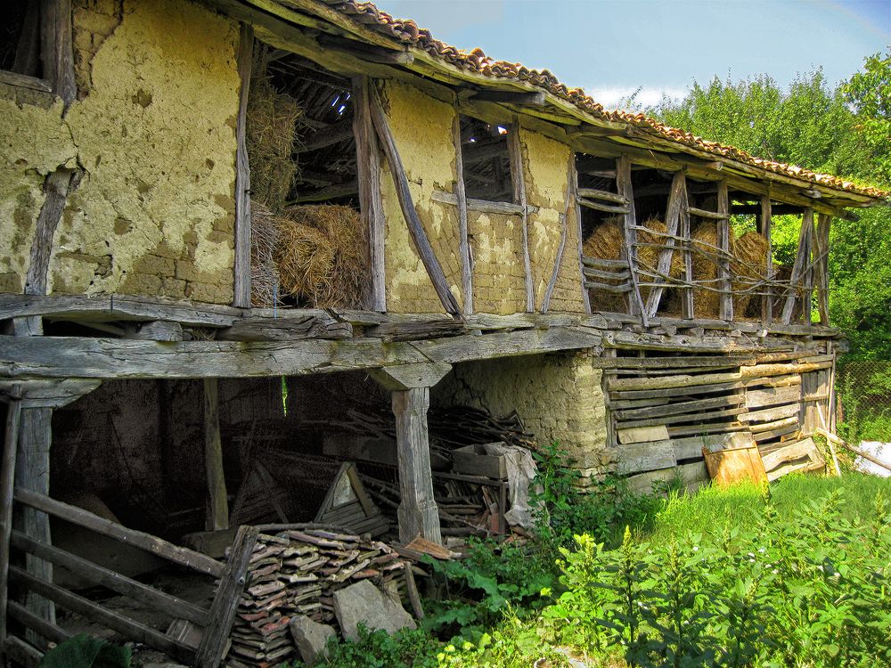 Фотография автора Milena Ivanova