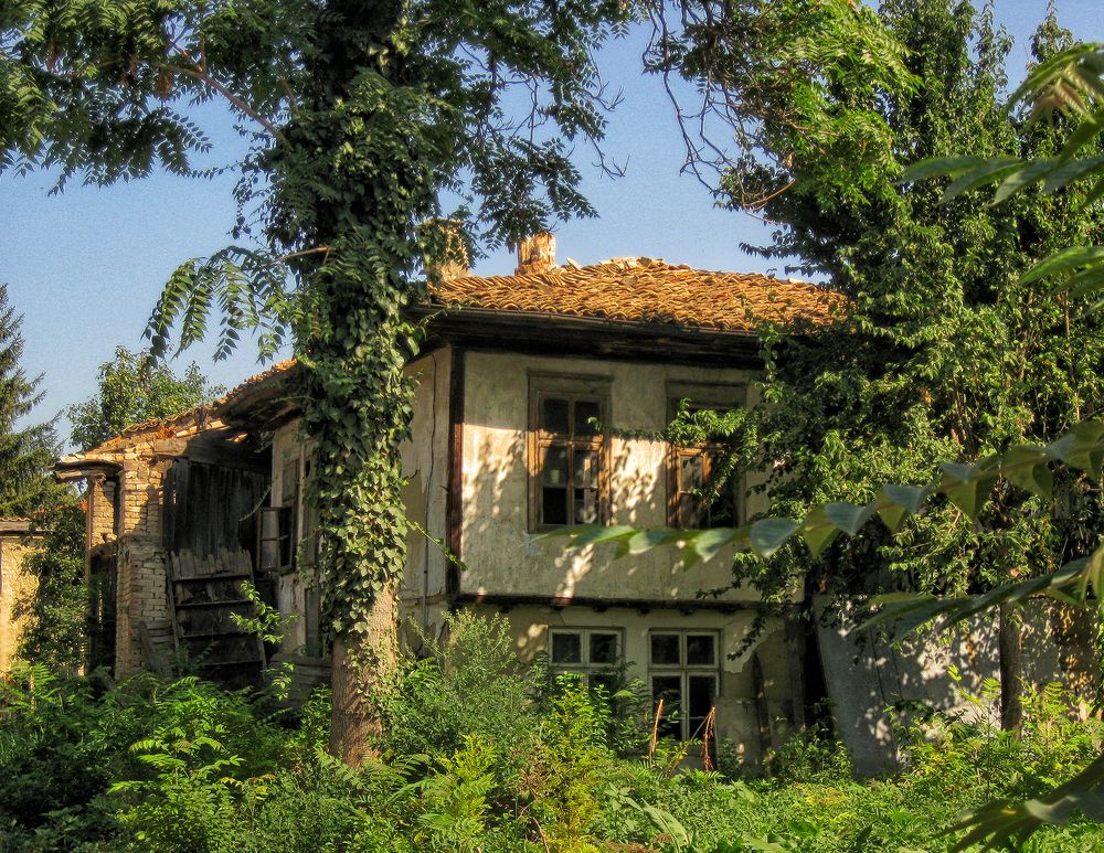 Фотография автора Milena Ivanova