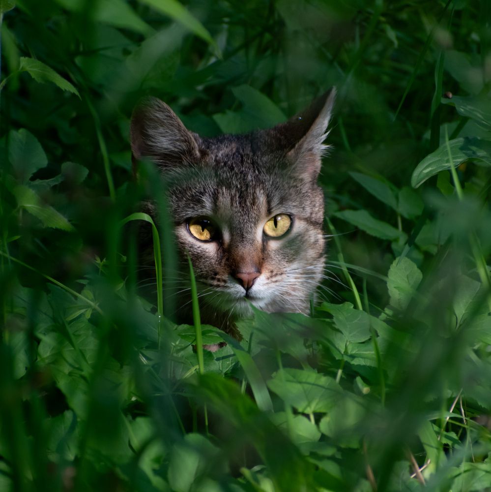 Photograph by Милан Ђорђевић