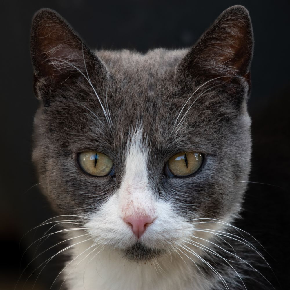 Photograph by Милан Ђорђевић