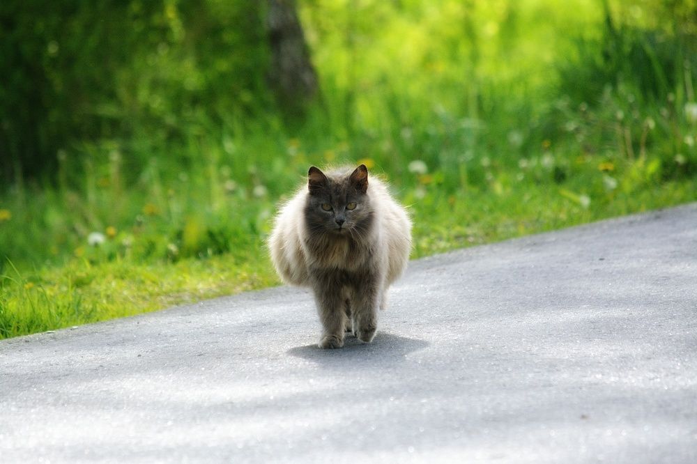 Photograph by Сергей Симаков