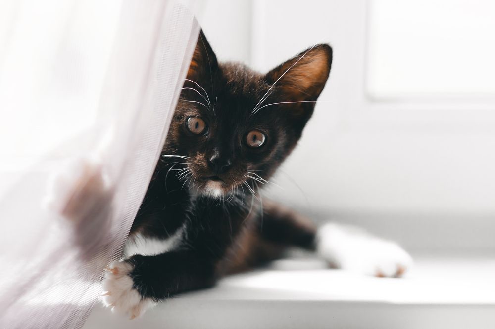 Photograph by Максим Дорошенко