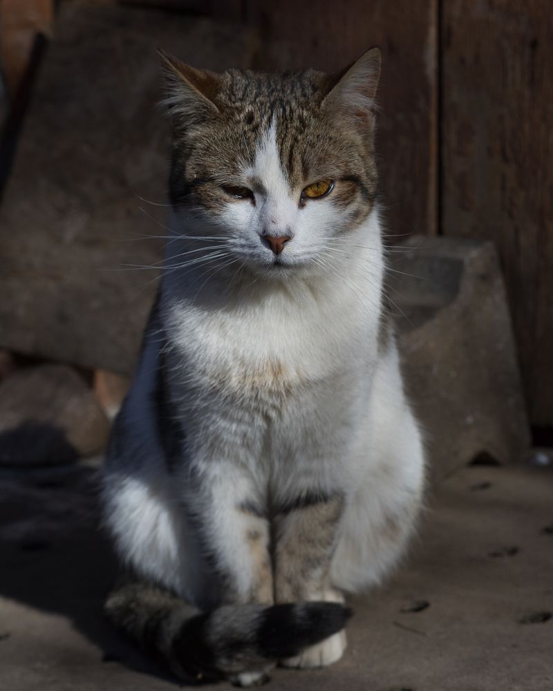 Photograph by Михаил