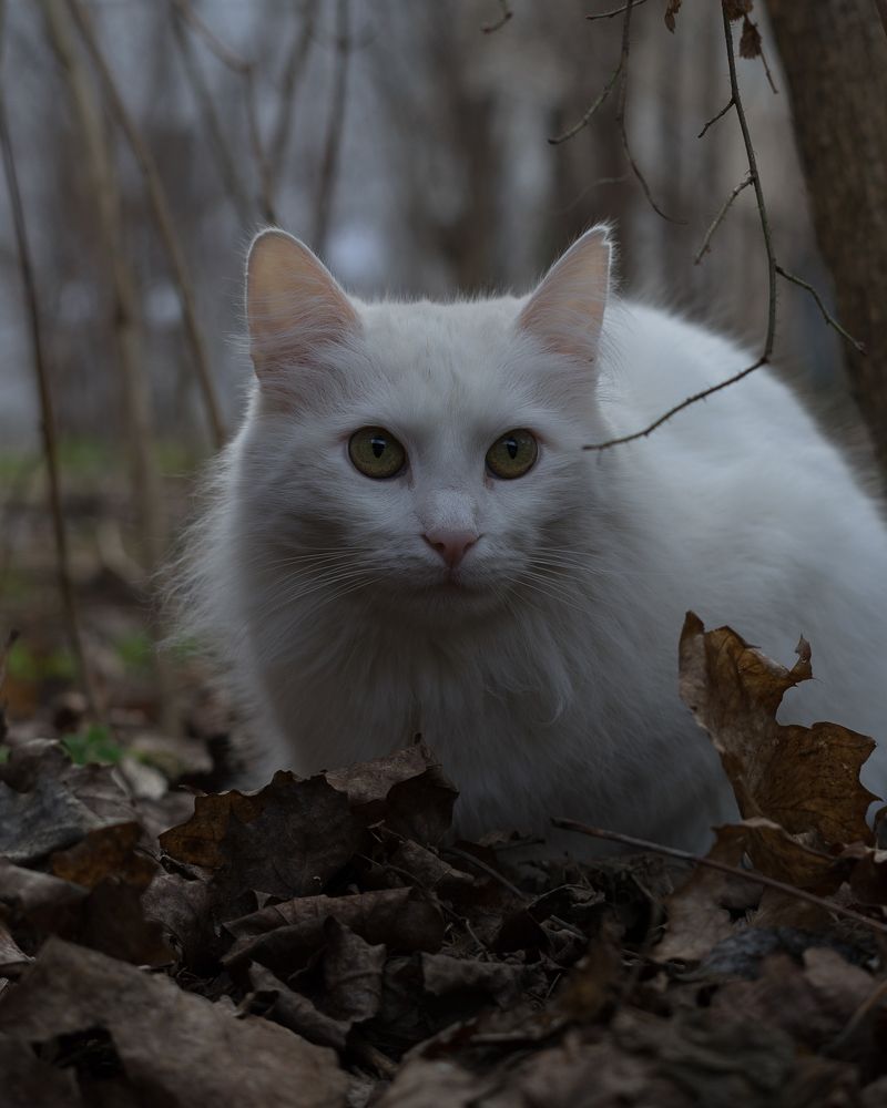 Photograph by Михаил