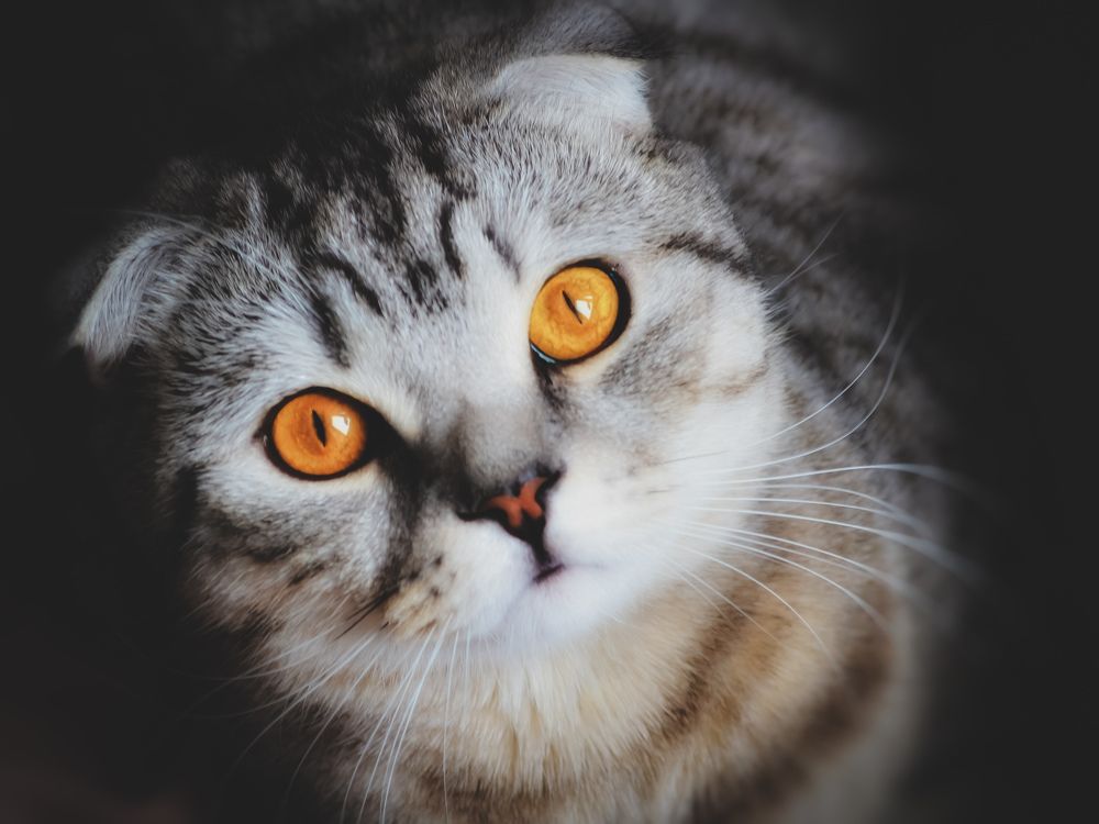 Photograph by Yuliya Karpova