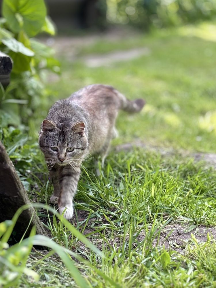 Photograph by Halina Mitsevich