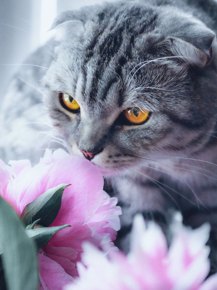 Photograph by Yuliya Karpova