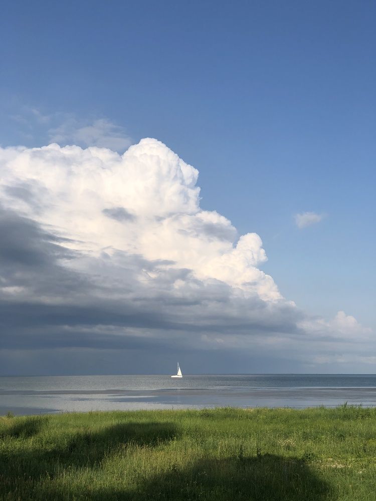 Photograph by Елена Захарова