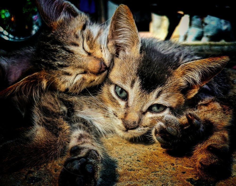 Photograph by Danny Boy Basaya