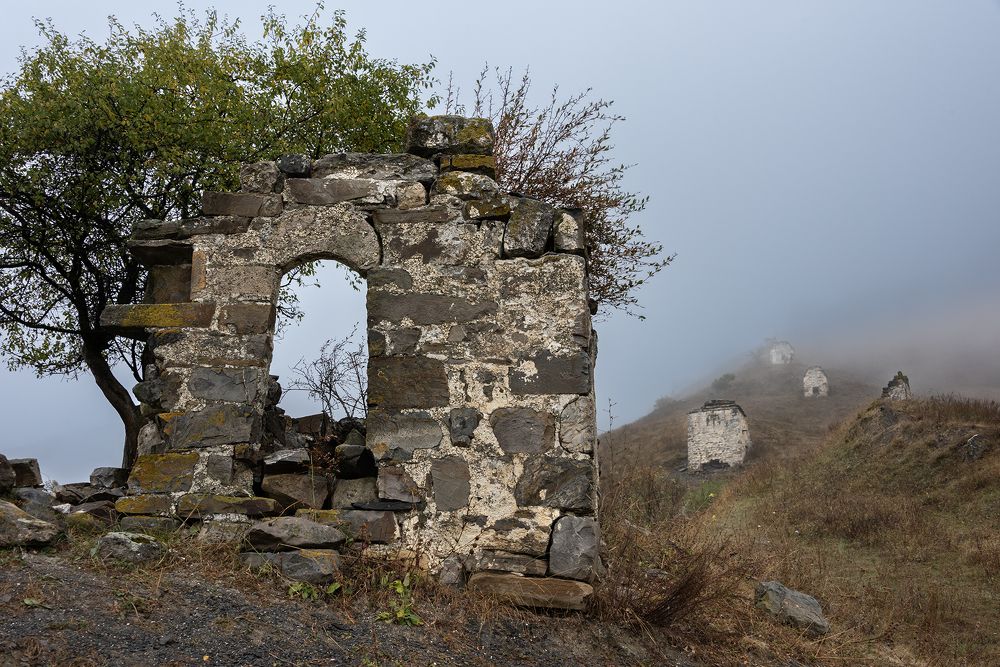 Photograph by Елена Вторушина