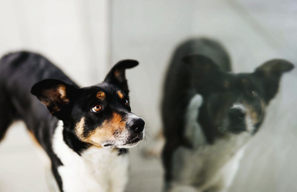 Photograph by Patrycja Dawid