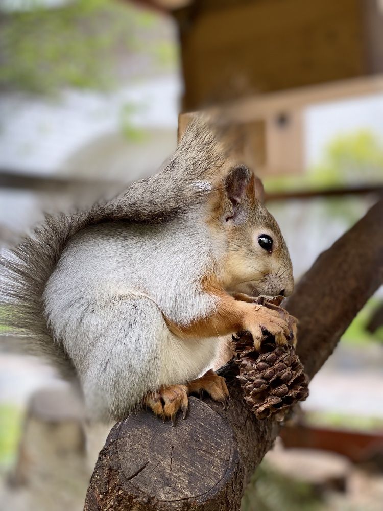 Photograph by Oksana Shchegolkova