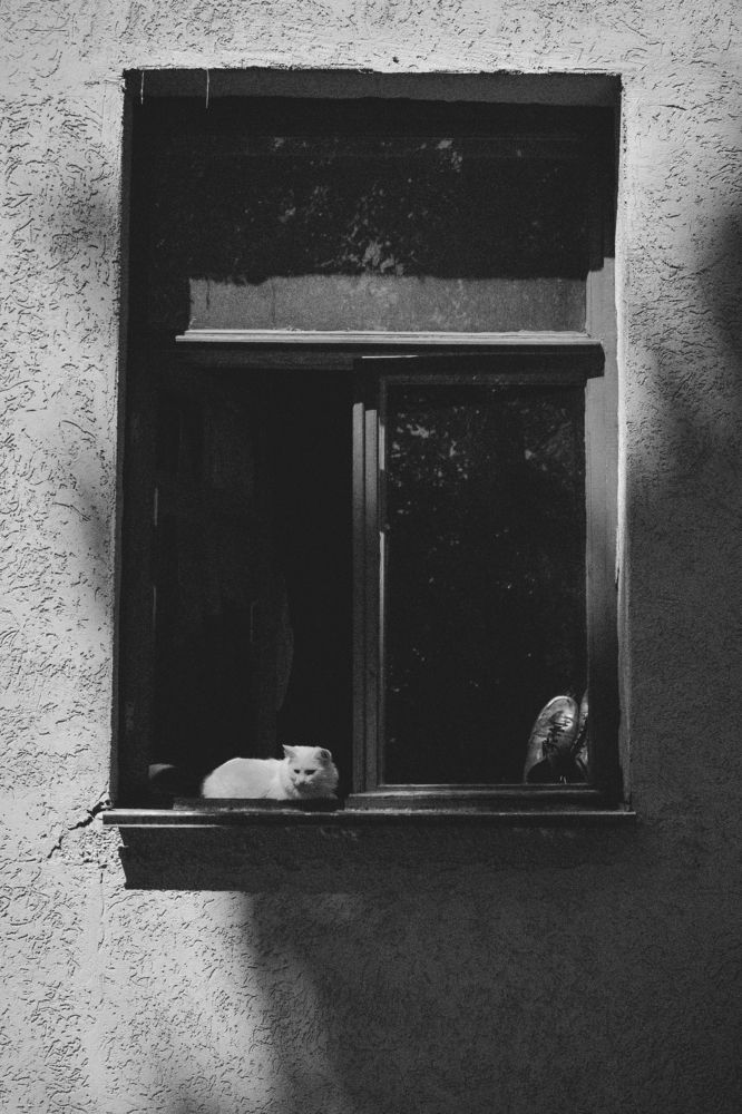 Фотография автора Ксения Вабищевич