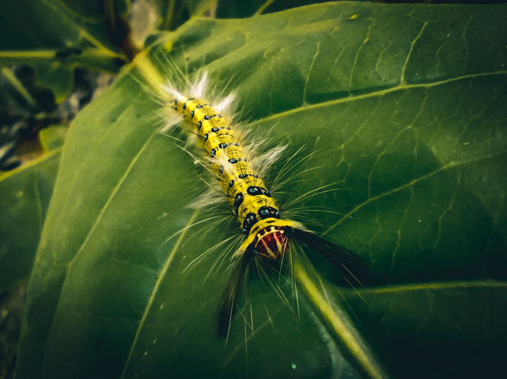 Photograph by Андрей Данилов